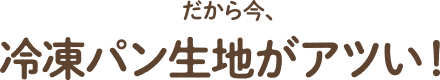 だから今、冷凍パン生地がアツい！